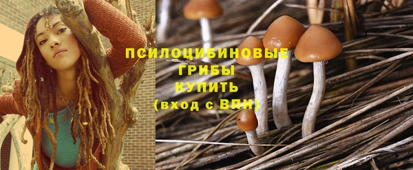 бошки Верхнеуральск
