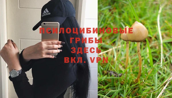 бошки Верхнеуральск