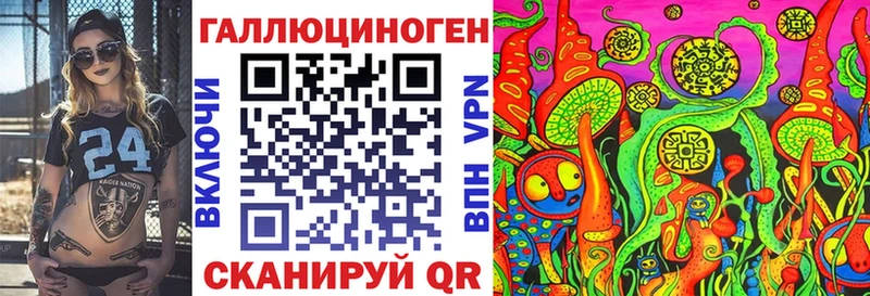 Купить закладки  Северобайкальск  Псилоцибиновые грибы GOLDEN TEACHER 