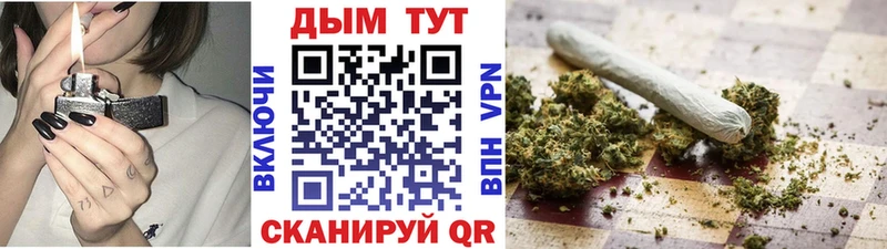 Купить закладки  Северобайкальск  Бошки марихуана тримм 